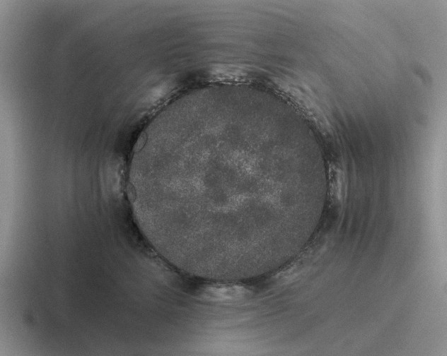 X0000116860712201001051425