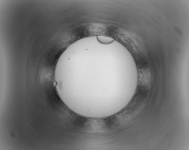 X0000116860713201001051425