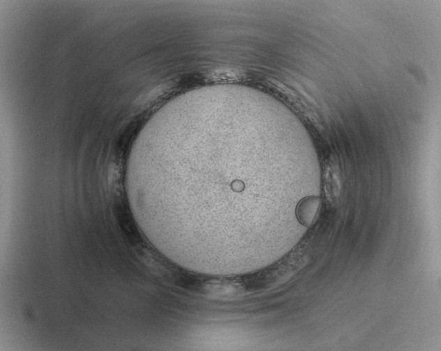 X0000116860714201001051425