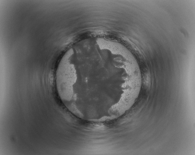 X0000116860715201001051425