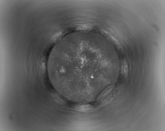 X0000116860716201001051425