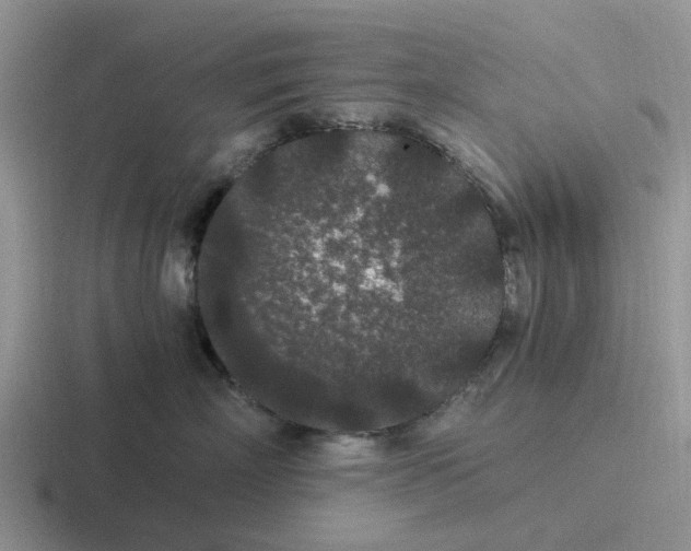 X0000116860718201001051425