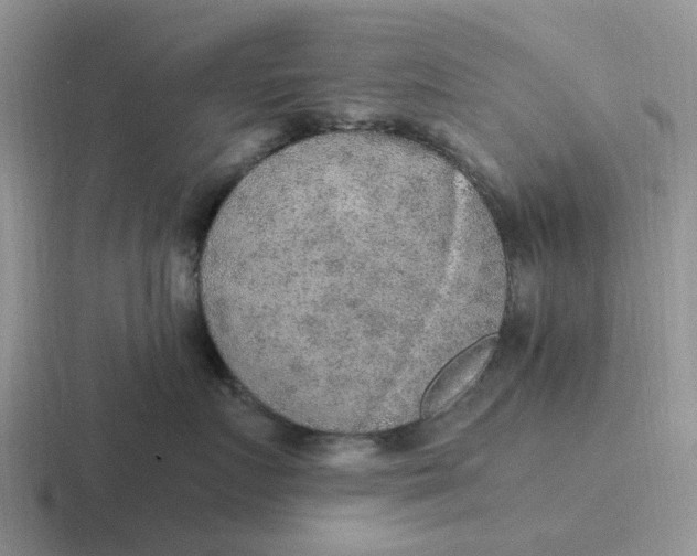 X0000116860719201001051425