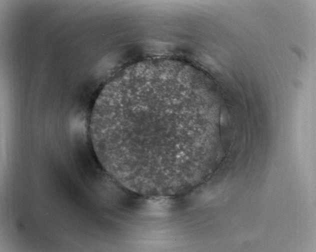 X0000116860720201001051425