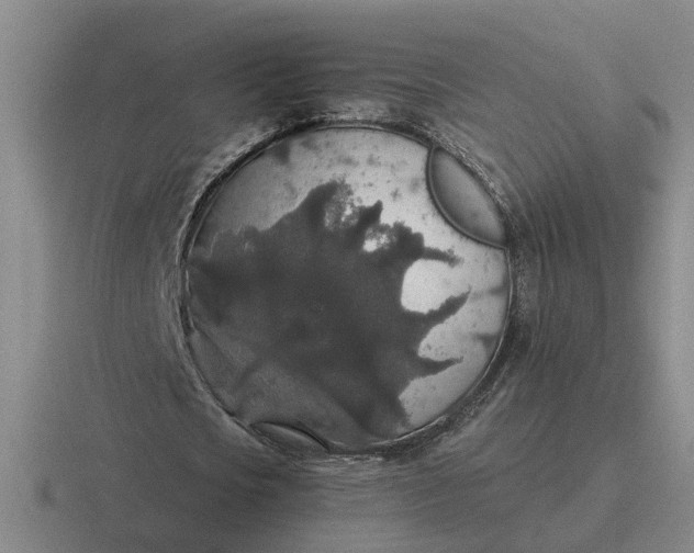 X0000116860721201001051424