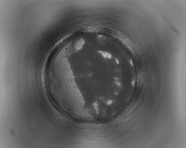 X0000116860722201001051424