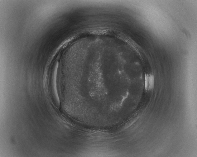 X0000116860723201001051424