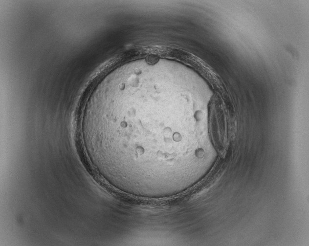 X0000116860725201001051424