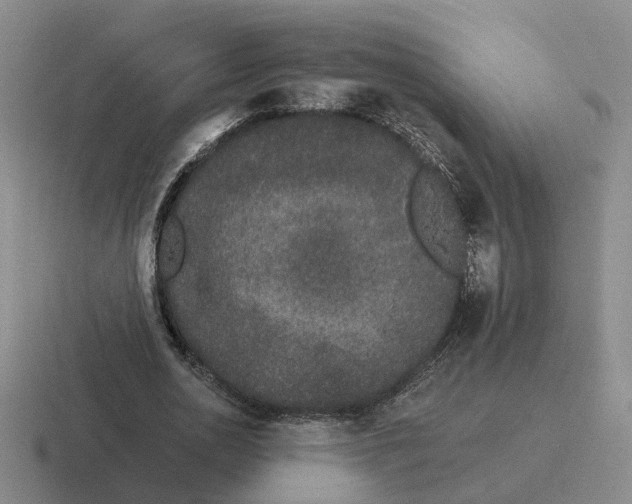 X0000116860726201001051424