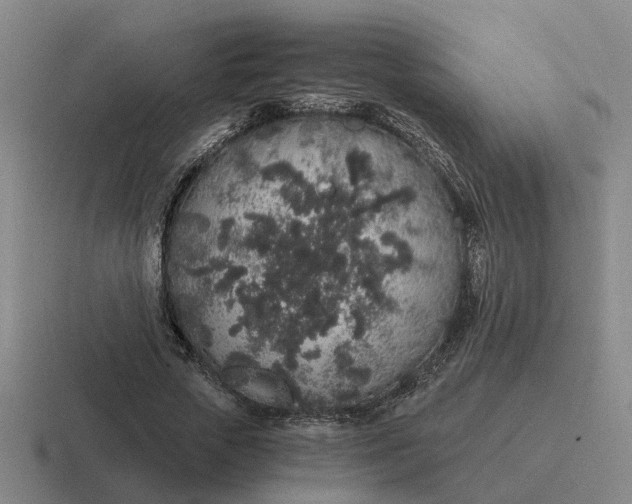 X0000116860729201001051424