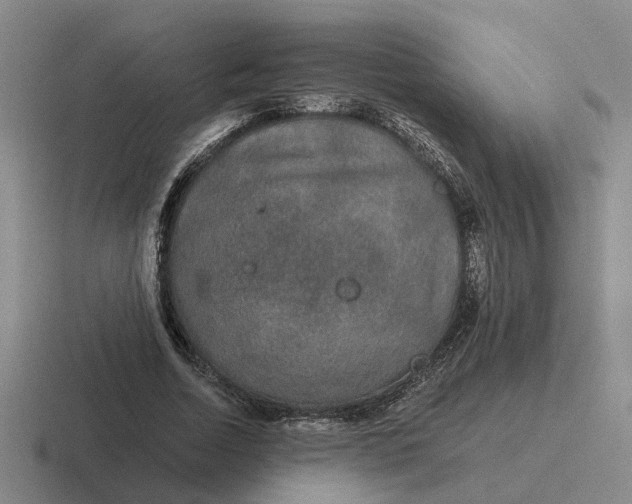 X0000116860730201001051424