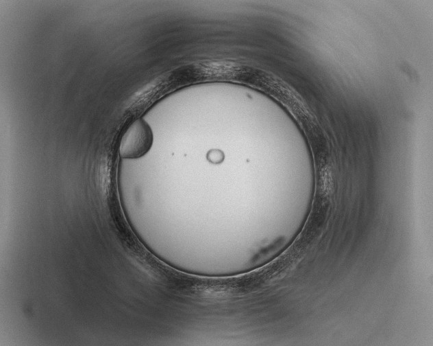 X0000116860733201001051424