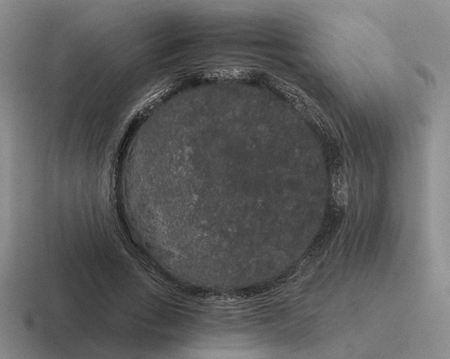 X0000116860735201001051424