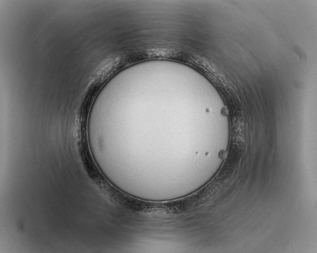 X0000116860738201001051424