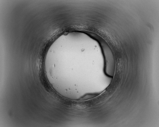 X0000116860739201001051424