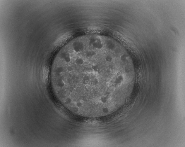 X0000116860742201001051424