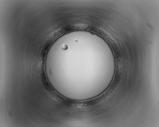 X0000116860745201001051424