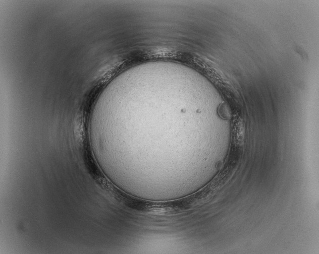 X0000116860746201001051424