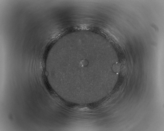 X0000116860747201001051424