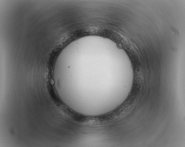 X0000116860750201001051424