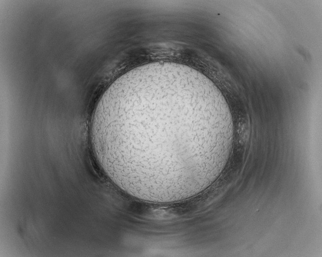 X0000116860753201001051424