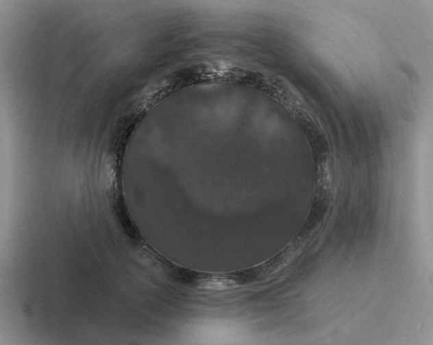 X0000116860754201001051424