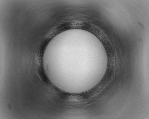 X0000116860755201001051424