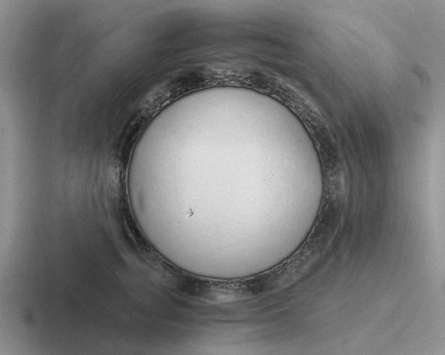 X0000116860757201001051424