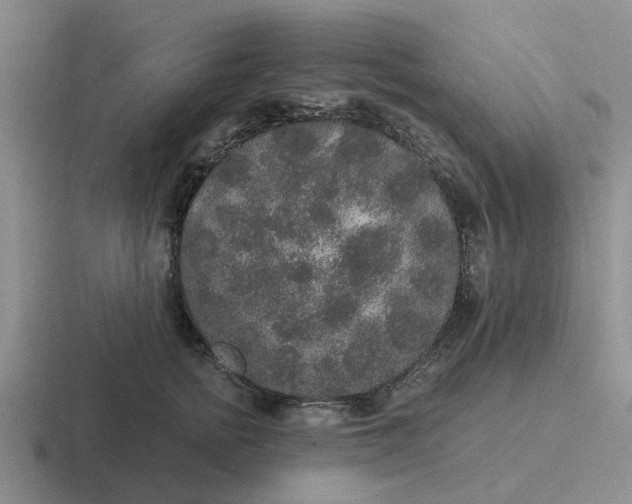 X0000116860758201001051424