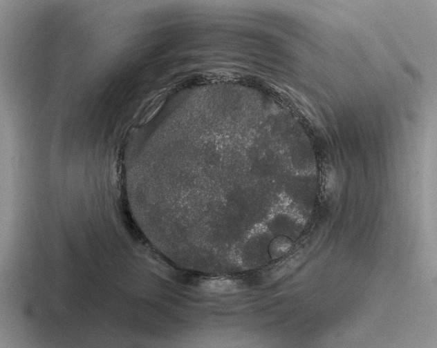 X0000116860759201001051424