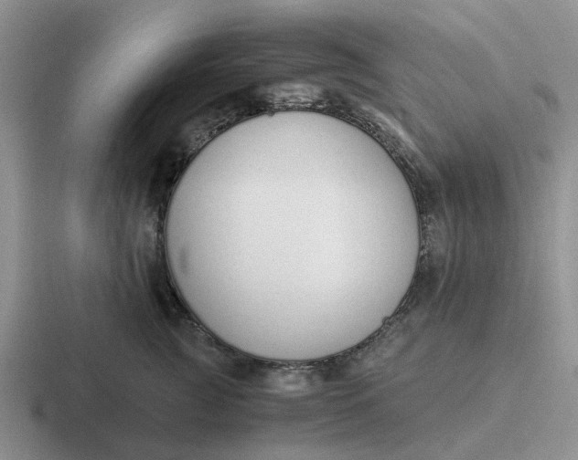 X0000116860761201001051425