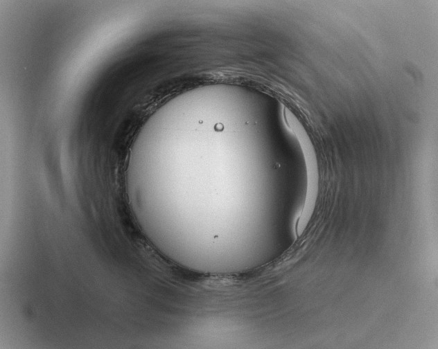 X0000116860762201001051425