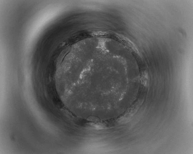 X0000116860763201001051425