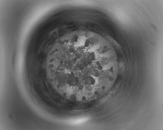 X0000116860765201001051425