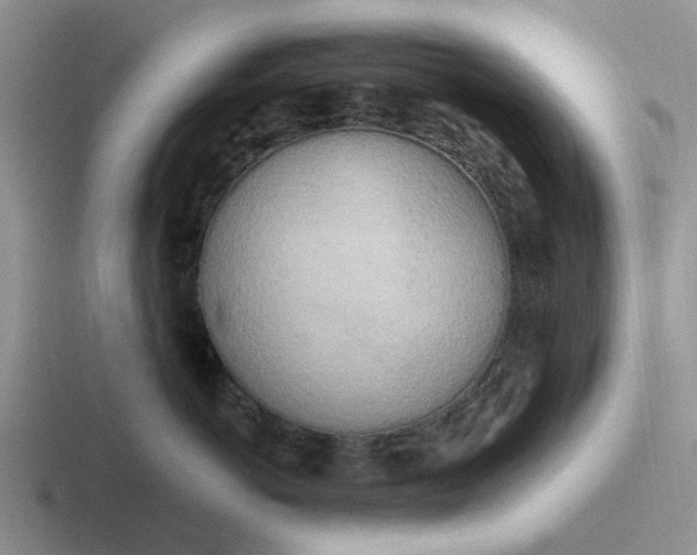 X0000116860766201001051425