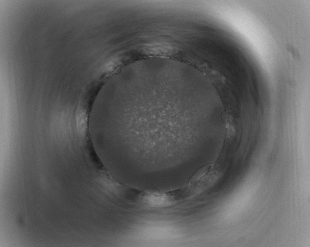 X0000116860767201001051425