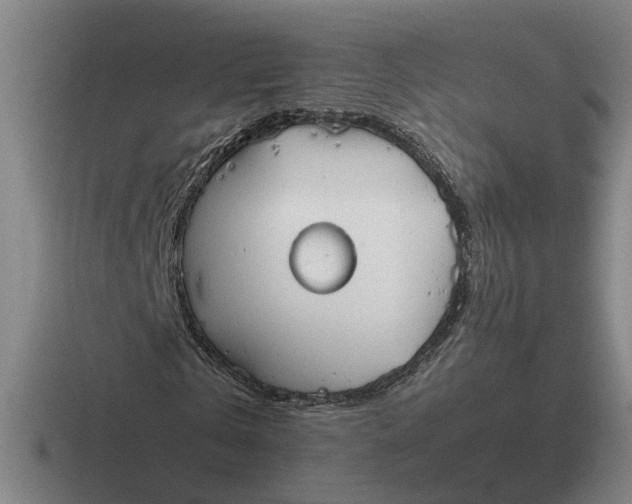 X0000116860769201001051424