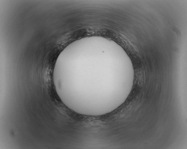 X0000116860770201001051424