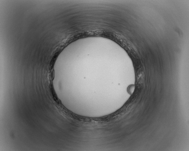 X0000116860772201001051424