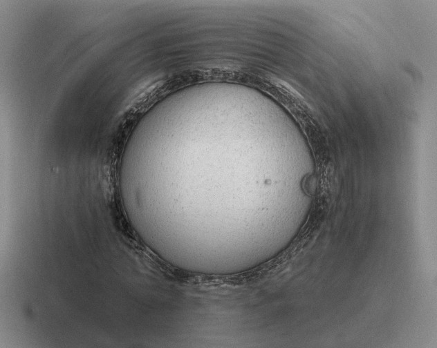 X0000116860774201001051424