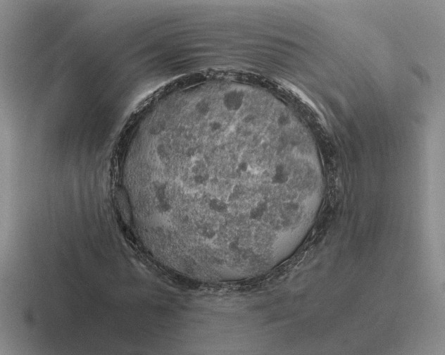 X0000116860775201001051424