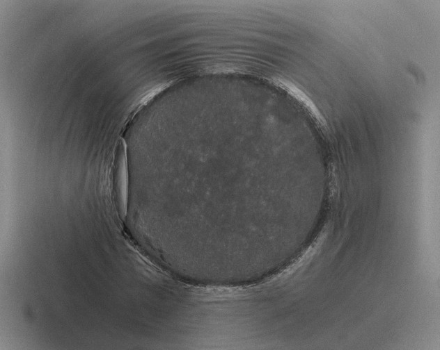 X0000116860777201001051424