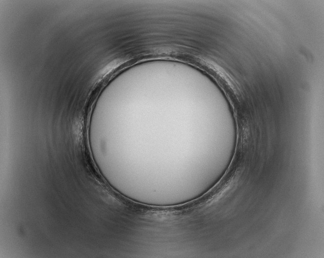 X0000116860778201001051424