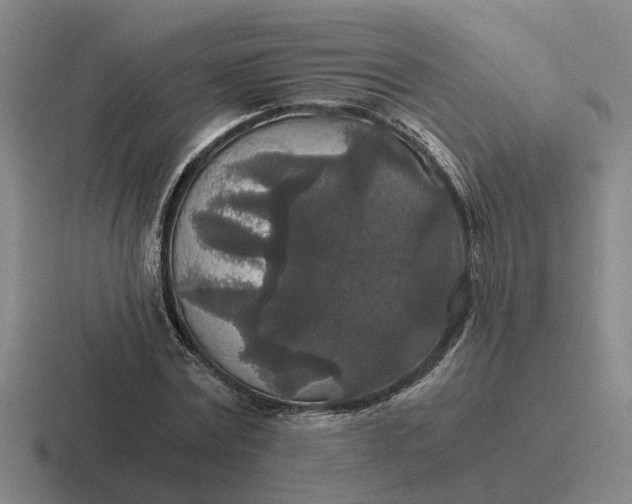 X0000116860779201001051424