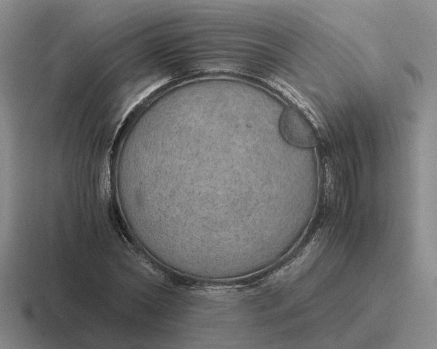 X0000116860782201001051424