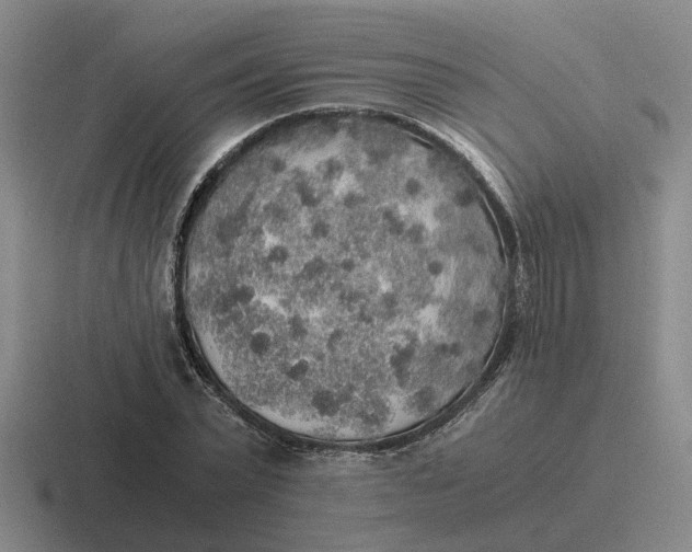 X0000116860783201001051424