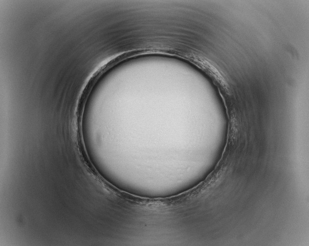 X0000116860784201001051424