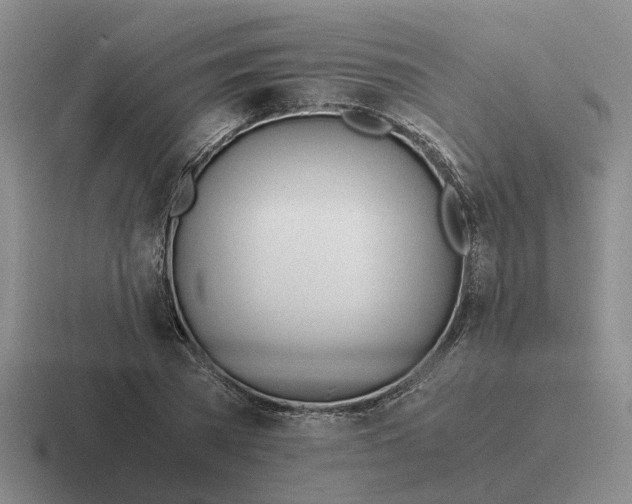 X0000116860785201001051424