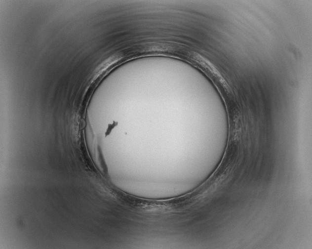 X0000116860786201001051424