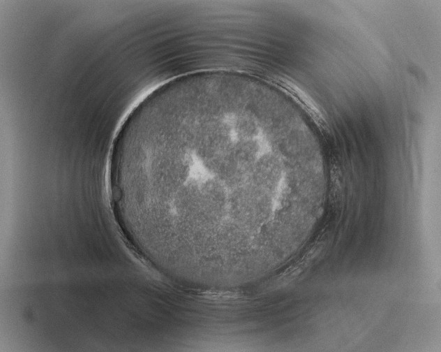 X0000116860788201001051424